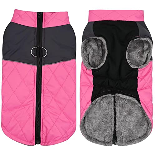 Fleecejacke Winterjacken für Hunde wasserdichter Haustiermantel Winterwarmer Hundemantel für kleine mittelgroße Hunde Regenmantel Für Hunde Mit Geschirr (Pink, XL) von Doublehero