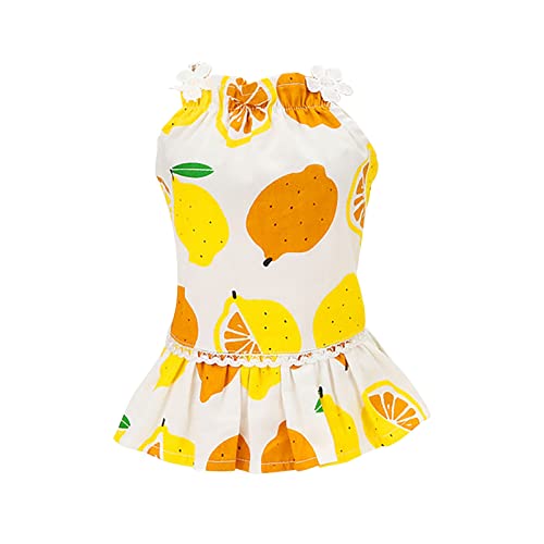 Hunde Kostüme Hundebekleidung Pullover Pet Kleider Frühling und Sommer Pet Cothes Frühling und Sommer niedliche Kleider für Haustierbedarf Kleid Für Kleine Hündinnen Hunde Kostüme Hundebekleidung Pullover Pet Kleider Frühling und Sommer Pet Cothes Frühling und Sommer niedliche Kleider für Haustierbedarf Kleid Für Kleine Hündinnen von Doublehero