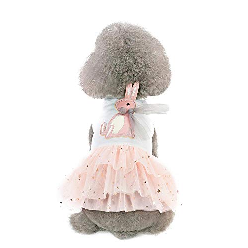 Doublehero Prinzessin Kleider Kleiner Hund Welpen Katze Tutu Rock Hochzeit T-Shirt Puppy Niedlich Ärmellos Spitze Kleidung Vintage Bekleidung Hustierkostüm für Feste Halloween Weihnachten Pulli Doublehero Prinzessin Kleider Kleiner Hund Welpen Katze Tutu Rock Hochzeit T-Shirt Puppy Niedlich Ärmellos Spitze Kleidung Vintage Bekleidung Hustierkostüm für Feste Halloween Weihnachten Pulli von Doublehero