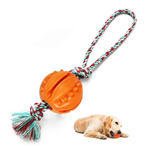 Ball on Rope Hundespielzeug - Gummiball für Hunde, Apportieren und Kauen, Belohnungs- und Übungsspielzeug, Tauziehen Hundespielzeug Kleine und Mittlere Rassen von Doudele