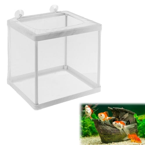 Aufzuchtbecken Aquarium Ablaichkasten Aquarium Zuchtbecken Aquarium Laichkasten für Aquarium Aquarium Aufzuchtbehälter Aquarium Babybecken Fischzuchtkasten mit Saugnapf Aquarium Zuchttanks 16×14×15CM von Doukesh