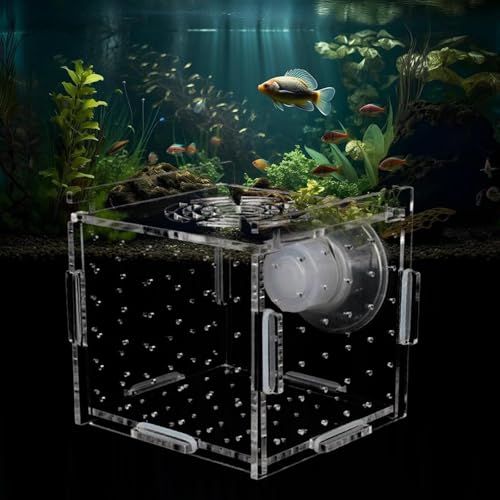 Aufzuchtbecken Aquarium Acryl Fischzuchtkasten Ablaichkasten Aquarium Zuchtbecken Aquarium Aquarium Aufzuchtbehälter Acryl Fisch-Isolationsbox mit Saugnäpfen Aquarium Zucht Isolation Box 10*10*10CM von Doukesh