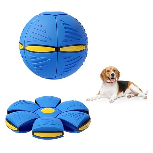 Doukesh Haustier Spielzeug Frisbee Ball,Fliegend Untertasse Ball Spielzeug für Hunde von Doukesh