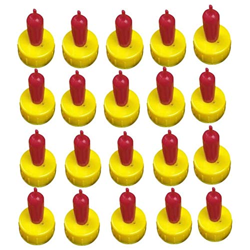 Doumneou 20 Stück Sauger Topper Fütterung Milch Trinken für Welpen Hund Doumneou 20 Stück Sauger Topper Fütterung Milch Trinken für Welpen Hund von Doumneou