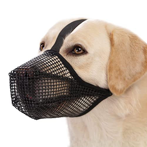 Doumneou Maulkorb Hund Maulkorb Mesh Maulkorb für Kleine Mittlere Labrador Atmungsaktiv Verstellbar Maulkörbe L Doumneou Maulkorb Hund Maulkorb Mesh Maulkorb für Kleine Mittlere Labrador Atmungsaktiv Verstellbar Maulkörbe L von Doumneou