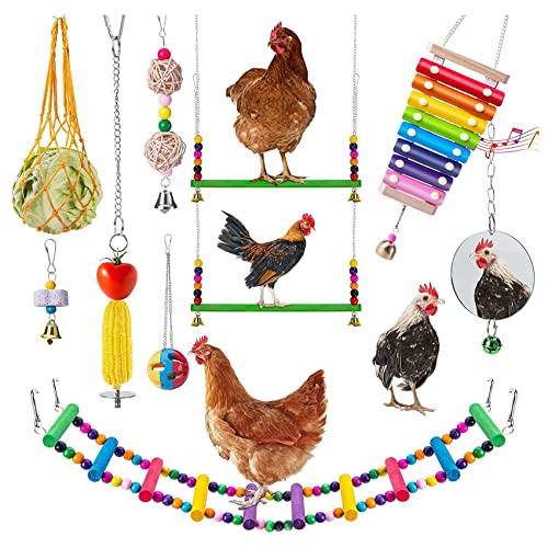 Doumneou for Hens Chicken Xylophon Toy Chicken Bridge Swing Toys Chicken Pecking Toys Chicken Mirror Toys von Doumneou