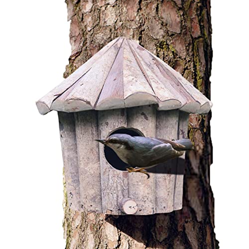 Dous Hölzernes Kolibri-Haus für Draußen,Vogelhäuschen aus Holz zum Aufhängen im Freien - Kolibri-Nest-Vogelhäuser für Gartenfenster im Freien von Dous