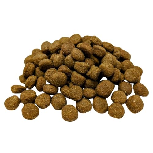 Dovita Vital Hundefutter Adult Medium Huhn & Reis 10kg von Dovita Vital