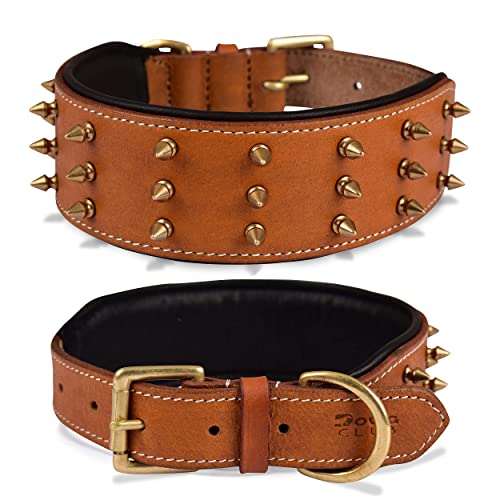 Dowg-Club | Hundehalsband aus echtem Leder mit Spikes, vollnarbig, strapazierfähig, große und XL-Rasse | 5,1 cm breit (L (passt Halsumfang 47-57 cm), Braun mit goldenen Spitzen) von DowgClub