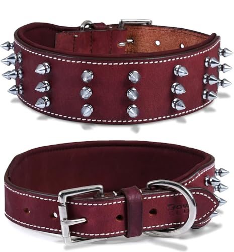 Dowg-Club | Hundehalsband aus echtem Leder mit Spikes, vollnarbig, strapazierfähig, große und XL-Rasse | 5,1 cm breit (L (passt Halsumfang 47-57 cm), Kirsche mit silbernen Farbspitzen) von DowgClub