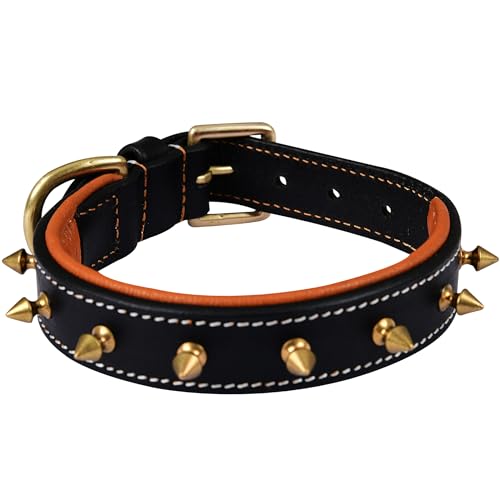 DowgClub Hundehalsband aus echtem Leder, 2,5 cm breit, vollnarbig, strapazierfähig, bequem, stark, innen gepolstert, am besten für kleine Hunderassen, Größe S (passend für Halsumfang 29,2 - 36,8 cm DowgClub Hundehalsband aus echtem Leder, 2,5 cm breit, vollnarbig, strapazierfähig, bequem, stark, innen gepolstert, am besten für kleine Hunderassen, Größe S (passend für Halsumfang 29,2 - 36,8 cm von DowgClub
