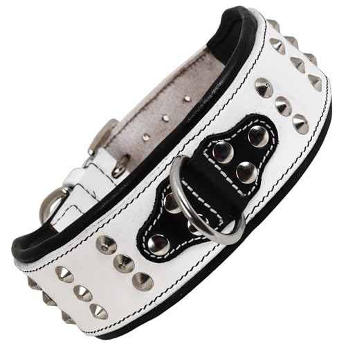 DowgClub Hundehalsband aus echtem Leder, Nieten, Sattelqualität, strapazierfähig, bequem, Polsterung, am besten für mittelgroße und große und XL-Rassen (weiß, Größe L (passend für Halsumfang 47 - 57,1 DowgClub Hundehalsband aus echtem Leder, Nieten, Sattelqualität, strapazierfähig, bequem, Polsterung, am besten für mittelgroße und große und XL-Rassen (weiß, Größe L (passend für Halsumfang 47 - 57,1 von DowgClub