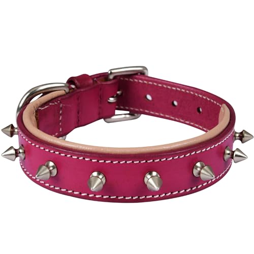 DowgClub Hundehalsband aus echtem Leder, mit Spikes, vollnarbig, strapazierfähig, bequem, stark, am besten für mittelgroße und große Rassen, 2,5 cm breit, Größe S (passend für Halsumfang 29,2 - 36,8 DowgClub Hundehalsband aus echtem Leder, mit Spikes, vollnarbig, strapazierfähig, bequem, stark, am besten für mittelgroße und große Rassen, 2,5 cm breit, Größe S (passend für Halsumfang 29,2 - 36,8 von DowgClub