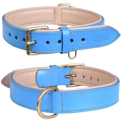 DowgClub | Hundehalsband aus echtem Leder, vollnarbig, strapazierfähig, bequem, stark, am besten für Welpen, kleine, Hellbraun (S (für Halsumfang 29.2 cm - 36.8 cm), Blau) von DowgClub