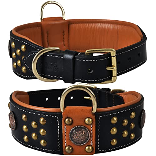 DowgClub Hundehalsband aus echtem Leder der Cupola-Serie,keltische Conchos, goldene Kuppelnieten,weiche, gepolsterte Polsterung, handgefertigt,ideal für mittelgroße, große,64.8 cm), Sable Black) von DowgClub