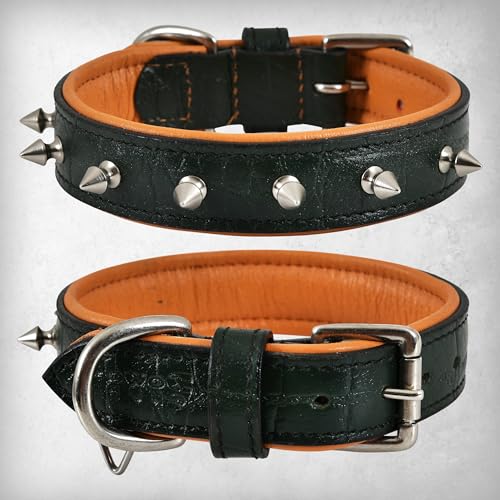 DowgClub Hundehalsband aus hochwertigem Echtleder, Krokodilmuster, Gator-Design, Vollnarben, strapazierfähig, exotisch, unverwechselbar, 2,5 cm breit, Waldgrün, Größe S (passend für Halsumfang 29,2 DowgClub Hundehalsband aus hochwertigem Echtleder, Krokodilmuster, Gator-Design, Vollnarben, strapazierfähig, exotisch, unverwechselbar, 2,5 cm breit, Waldgrün, Größe S (passend für Halsumfang 29,2 von DowgClub