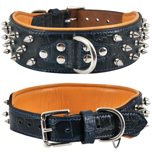 DowgClub Hundehalsband aus hochwertigem Echtleder, Krokodilmuster, Gator-Design, Vollnarben, strapazierfähig, exotisch, unverwechselbar, 5,1 cm breit, Mitternachtsblau, Größe M (passend für Halsumfang DowgClub Hundehalsband aus hochwertigem Echtleder, Krokodilmuster, Gator-Design, Vollnarben, strapazierfähig, exotisch, unverwechselbar, 5,1 cm breit, Mitternachtsblau, Größe M (passend für Halsumfang von DowgClub