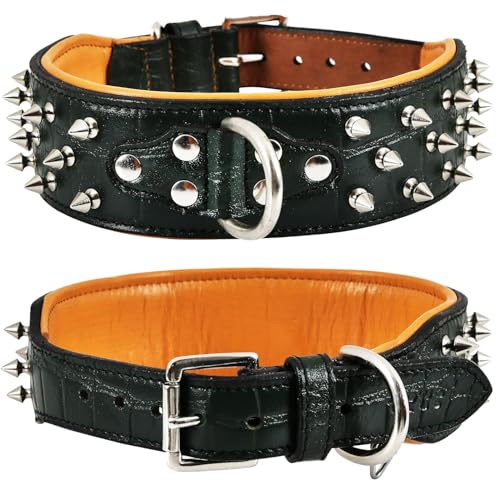 DowgClub Hundehalsband aus hochwertigem Echtleder, Krokodilmuster, Gator-Design, Vollnarben, strapazierfähig, exotisch, unverwechselbar, 5,1 cm breit, Waldgrün, Größe M (passend für Halsumfang 36,8 DowgClub Hundehalsband aus hochwertigem Echtleder, Krokodilmuster, Gator-Design, Vollnarben, strapazierfähig, exotisch, unverwechselbar, 5,1 cm breit, Waldgrün, Größe M (passend für Halsumfang 36,8 von DowgClub