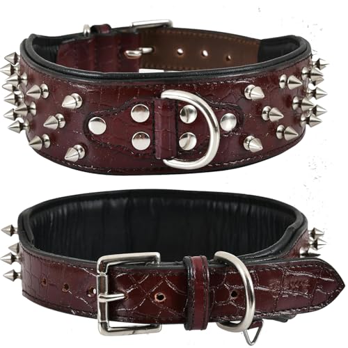 DowgClub Hundehalsband aus hochwertigem Echtleder, Krokodilmuster, Gator-Design, Vollnarben, strapazierfähig, exotisch, unverwechselbar, 5,1 cm breit, Weinrot, Größe M (passend für Halsumfang 36,8 DowgClub Hundehalsband aus hochwertigem Echtleder, Krokodilmuster, Gator-Design, Vollnarben, strapazierfähig, exotisch, unverwechselbar, 5,1 cm breit, Weinrot, Größe M (passend für Halsumfang 36,8 von DowgClub