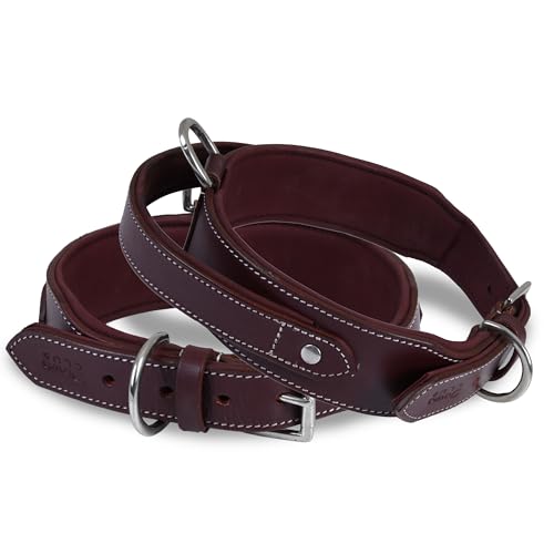 DowgClub | Taktisches Hundehalsband mit Griff | Echtes Leder in Sattelqualität, strapazierfähig, bequem, gepolstert, stark, ideal für mittelgroße, große und XL-Rassen (M (Halsumfang 37-47cm), Kirsche) von DowgClub