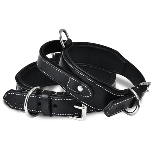 DowgClub | Taktisches Hundehalsband mit Griff | Echtes Leder in Sattelqualität, strapazierfähig, bequem, gepolstert, stark, ideal für mittelgroße, große und XL-Rassen (M (Halsumfang 37-47cm), Schwarz) von DowgClub