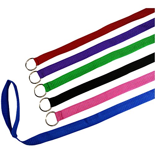 Downtown Pet Supply 1,8 m Lange Retrieverleine, Retrieverleine, Hundehüttenleine mit O-Ring für Hundepflege, Tierpflege, Unterschlupf, Rettung, Tierarzt, Tierarzt, (6 Stück, Farben: Verschiedene Downtown Pet Supply 1,8 m Lange Retrieverleine, Retrieverleine, Hundehüttenleine mit O-Ring für Hundepflege, Tierpflege, Unterschlupf, Rettung, Tierarzt, Tierarzt, (6 Stück, Farben: Verschiedene von Downtown Pet Supply