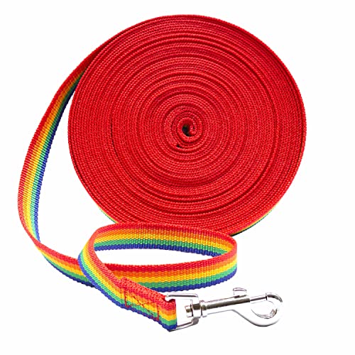 Hundeleine für Hunde / Welpen, lange Schleppleine – perfekt für Verhaltenstraining, mehrere Größen (9 m, Regenbogen) von Downtown Pet Supply