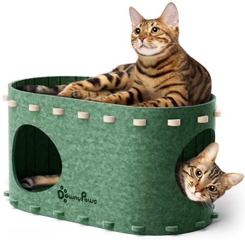 DownyPaws Katzenhaus für Hauskatzen, Grün DownyPaws Katzenhaus für Hauskatzen, Grün von DownyPaws