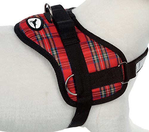 Doxtasy Hundegeschirr, verstellbar, stabiles Nylon, ideal für Sport, rot, schottisches Design, 01, 39-54 cm Größe XXS von Doxtasy