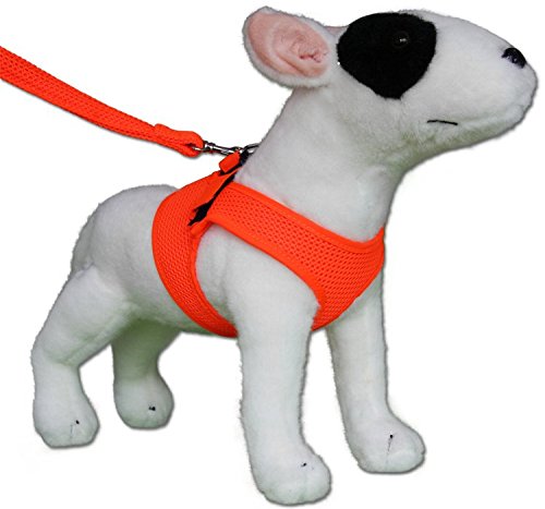 Doxtasy Neon Hundegeschirr Geschirr Weste Fluoreszierend - Leuchtet im Dunkeln - 2 versch. Farben (M, Neonorange) von Doxtasy
