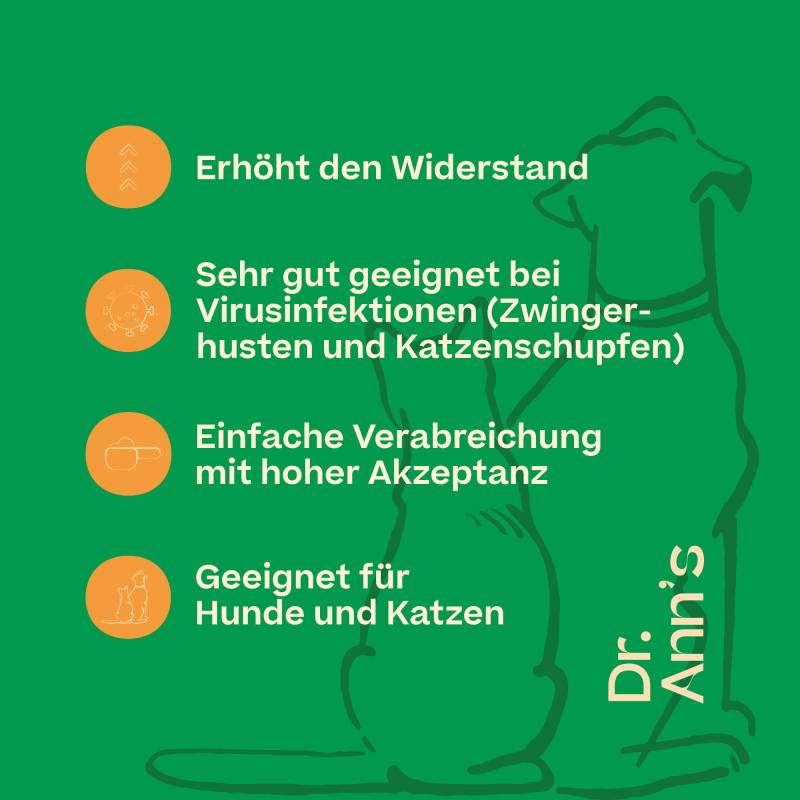 Dr. Ann's L-Lysine - 2 x 50 g von Dr. Ann's