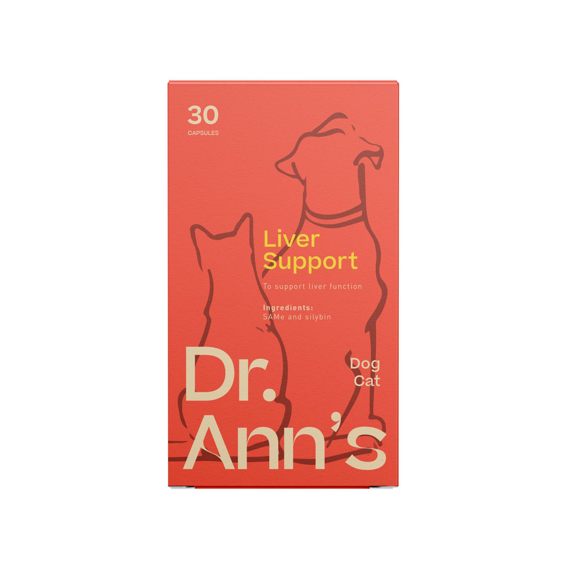 Dr. Ann's Liver Support - 2 x 30 Kapseln von Dr. Ann's