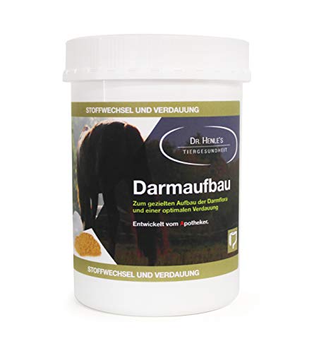 Dr. Henles Darmaufbau (600g) von Dr. Henles