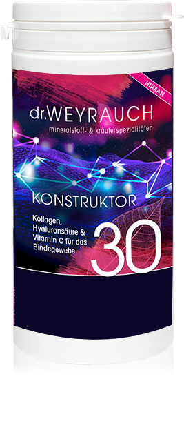 Dr. Weyrauch Nr. 30 Konstruktor - 60 St. Human Schönheit von innen Dr. Weyrauch Nr. 30 Konstruktor - 60 St. Human Schönheit von innen von Dr.Weyrauch