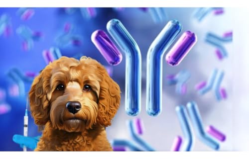 Dragon Lab & Canine Titre-Test für Hunde | Probe posten | einfach genau und erschwinglich von Dragon Lab & Canine