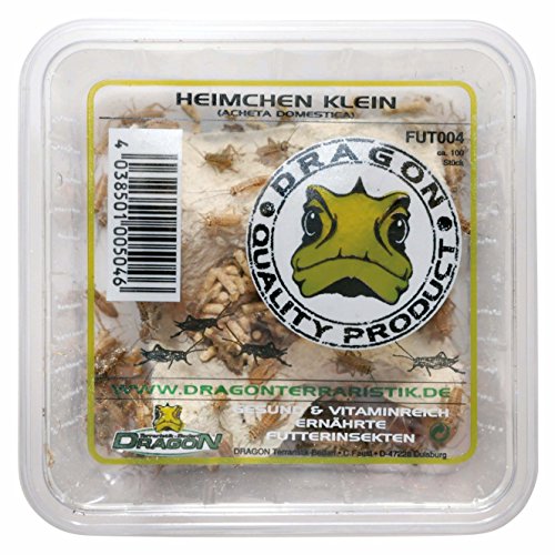 Dragon Heimchen Micro in Dose, ca. 120 Stück Futtertier für Reptilien und Insektenfresser von Dragon