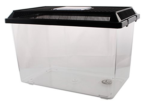 Neu PET-Plaza Kunststoffbox - Faunarium - Kunststoffterrarium - Faunabox - Insektenbox - Insektenterrarium - Box für Futterinsekten (37 x 22 x 25,5cm) von Dragon