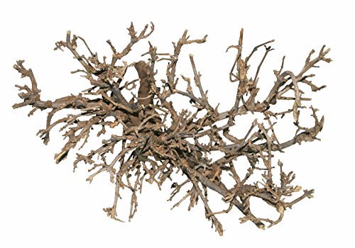 Dragon - Outback Bush Nature - 4Stk, Futter für Erwachsene, Amphibien, Fisch, Reptilien, Vögel, Nutztiere, 400g von Dragon