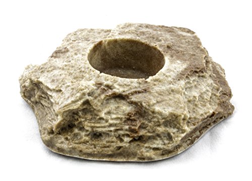 Dragon Terraristik Jelly-Food (Sandstein, Jelly Food Rock) von Dragon Lab & Canine