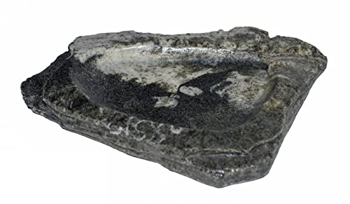 Dragon - Wasserschale - Futternapf - Felsschale flach Granite Rock 100 ml, BTH 19x16x2 cm Dragon - Wasserschale - Futternapf - Felsschale flach Granite Rock 100 ml, BTH 19x16x2 cm von Dragon