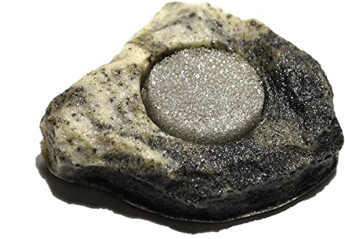 Unbekannt Dragon - Wasserschale - Futternapf - Felsschale Mini Mini ca.10ml Granite Rock mit Schwamm BTH 6x6x2 cm von Unbekannt
