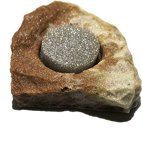 Dragon - Wasserschale - Futternapf - Felsschale mini mini ca.10ml Sand Stone mit Schwamm - BTH 6x6x2 cm von Dragon