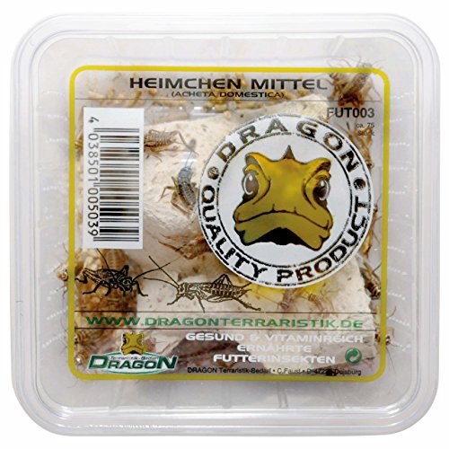 Dragon Heimchen, Zweifl eck-, Steppengrillen und Heuschrecken Futtertier, 75 stück, Geschmacklos, Dose, Futter, Haustiere, Grillen, Mittelgroße Rassen, 17-18° C Dragon Heimchen, Zweifl eck-, Steppengrillen und Heuschrecken Futtertier, 75 stück, Geschmacklos, Dose, Futter, Haustiere, Grillen, Mittelgroße Rassen, 17-18° C von Dragon