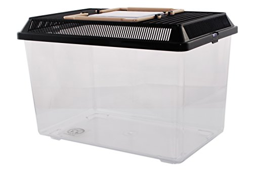 Neu PET-Plaza Kunststoffbox - Faunarium - Kunststoffterrarium - Faunabox - Insektenbox - Insektenterrarium - Box für Futterinsekten (30 x 19,5 x 21cm) von Dragon