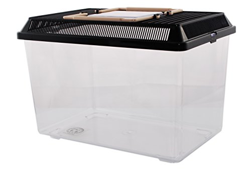 Neu PET-Plaza Kunststoffbox - Faunarium - Kunststoffterrarium - Faunabox - Insektenbox - Insektenterrarium - Box für Futterinsekten (30 x 19,5 x 21cm) von Dragon