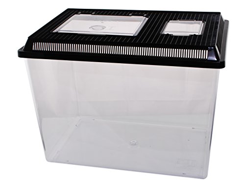 Neu PET-Plaza Kunststoffbox - Faunarium - Kunststoffterrarium - Faunabox - Insektenbox - Insektenterrarium - Box für Futterinsekten (46 x 30,5 x 33,5cm) von Dragon