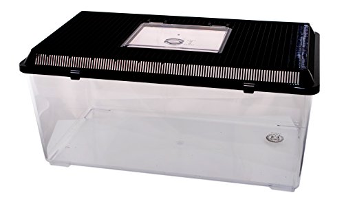 Neu PET-Plaza Kunststoffbox - Faunarium - Kunststoffterrarium - Faunabox - Insektenbox - Insektenterrarium - Box für Futterinsekten (56 x 31 x 26cm) von Dragon
