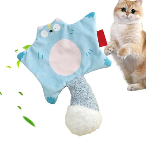 Dranng Katzenminze Spielzeug für Katzen und Kätzchen | Katzen Kauspielzeug für das Zahnen in der Form eines Flughörnchens - Bissfeste Kaumaterialien Für Kleine Mittelgroße Und Große Kitten Dranng Katzenminze Spielzeug für Katzen und Kätzchen | Katzen Kauspielzeug für das Zahnen in der Form eines Flughörnchens - Bissfeste Kaumaterialien Für Kleine Mittelgroße Und Große Kitten von Dranng