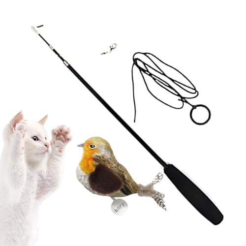 Dranng Katzenspielzeug - Vogel Zauberstab Feder Teaser Spielzeug für Katzen | Entwicklungsinteraktiver Katzenspielzeugstab für Katzenkätzchen im Innenbereich von Dranng