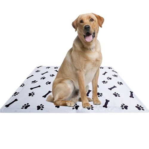 Dranng Kühlkissen für Haustiere, Kühlkissen für Katzen,Haustier-Kühlkissen - Kühlkissen für Hunde, Hundebox-Pad, Kühlmatten für Hunde und Katzen in Käfigen, Zwingern, Betten und Sofas Dranng Kühlkissen für Haustiere, Kühlkissen für Katzen,Haustier-Kühlkissen - Kühlkissen für Hunde, Hundebox-Pad, Kühlmatten für Hunde und Katzen in Käfigen, Zwingern, Betten und Sofas von Dranng